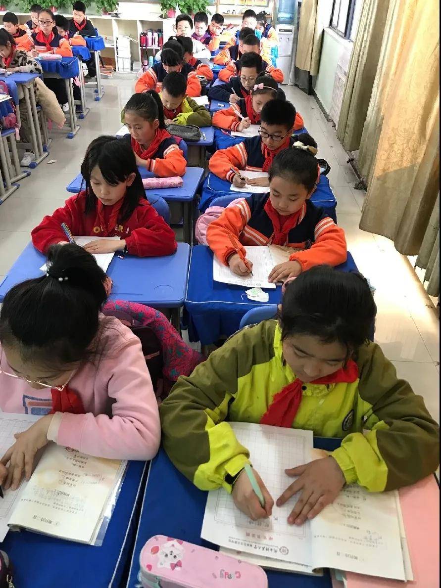 比赛|陕西师范大学奥林匹克花园学校小学部举行高段硬笔书写大赛