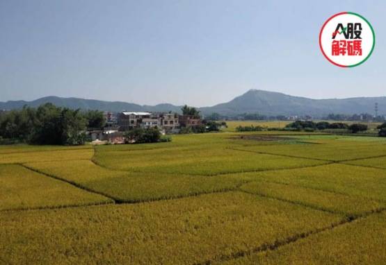 涨势|【行业一线】粮价涨势未改，种植业板块为再次起飞聚集动力！