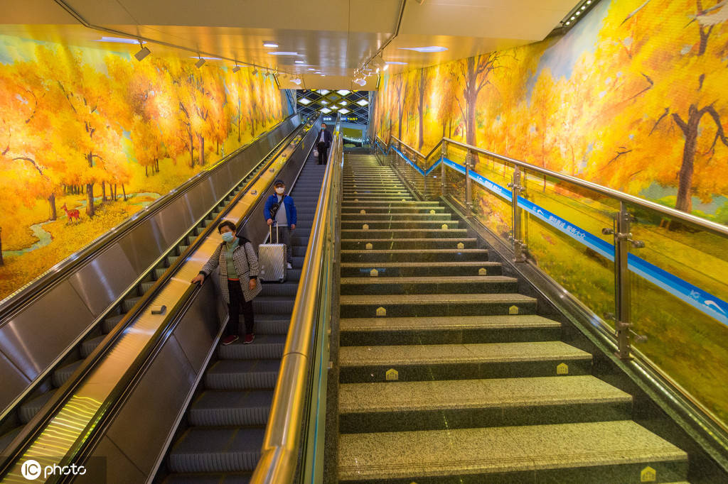 1/ 12 近日,成都地铁太平园站内扶梯通道中,两旁的壁画将银杏的秋色