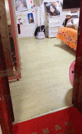 70b4bbd23b9e46a5aa0ec09277a36122.gif