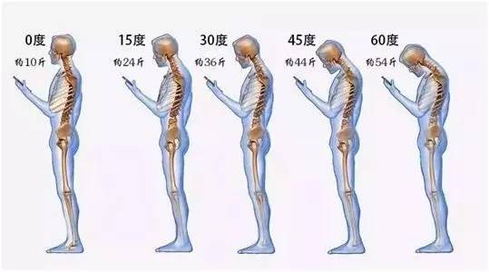 练背的正确方法 不伤颈椎 ed7fdc75b4fe4bdd8f68b6f478ef00b8.jpeg
