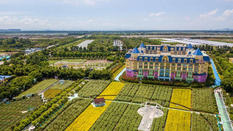 廣東有個以向日葵為主題的樂園，風(fēng)景獨特，像極了彩色的童話世界(圖2)