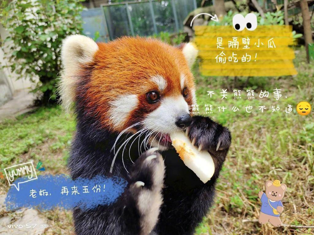 聊聊手机拍照的那些事儿：选对设备就已经成功