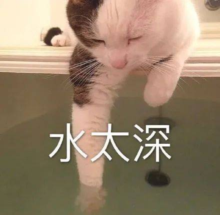 表情包|猫 水太深!