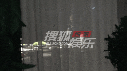 张雨绮和猛男幽会喜迎第四春?曾为爱痴狂却被戴绿帽