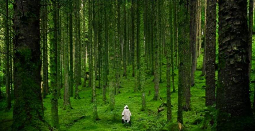 嘴皮子|“动动嘴皮子”就能挣大钱？这些专业太想选了