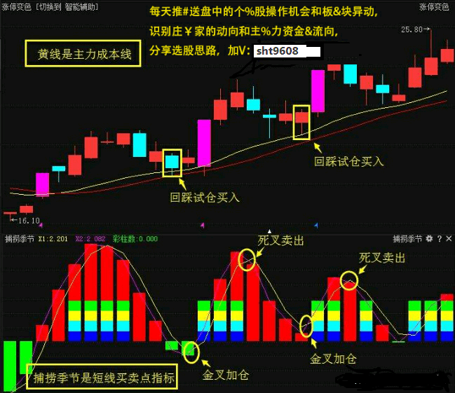 fcbf7905635f4db19c4a5964ef6b7710.png