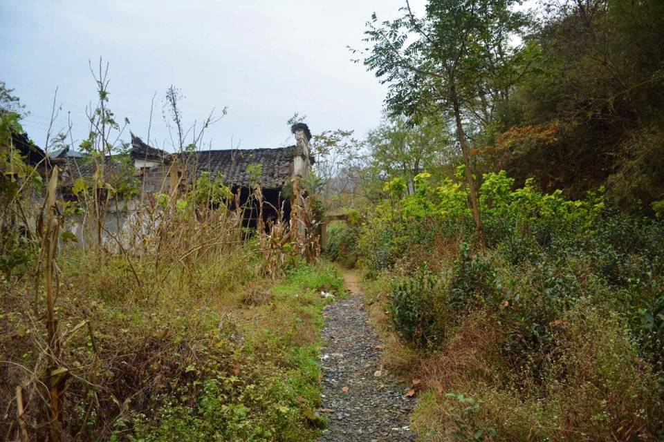 山村老屋建成100多年楼房躲在老屋后面村民称好地方