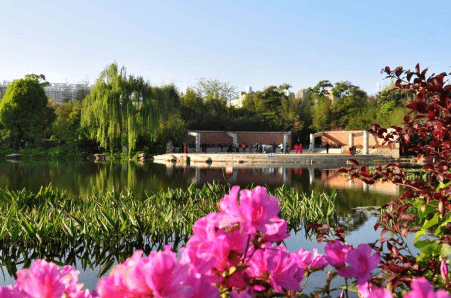 2020年绿化城市排名_《2020年秋冬季城市绿化攻坚战实施方案》印发