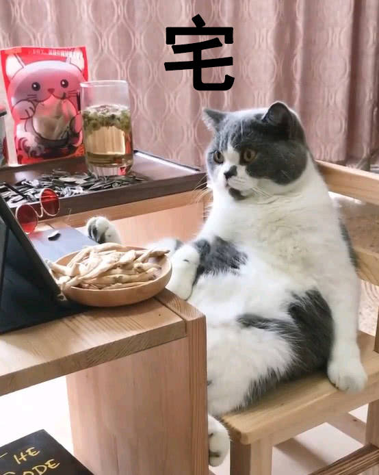 "禁闭试验"表情包:被关久了的人,为了透口气连门缝都不会放过