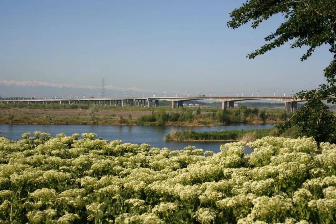 2020年伊宁市人口普查_伊宁市2020年城市发展