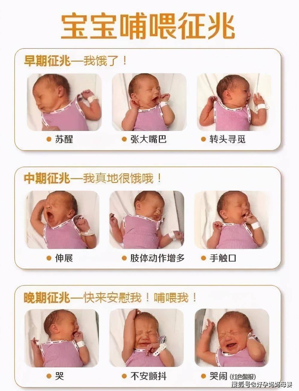 人类|你几级？人类幼崽迷惑行为大赏我「婴语」十级