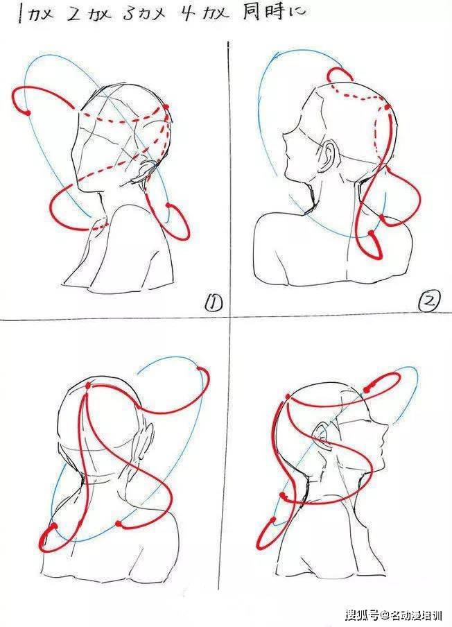 3,头发的位置是不一样的,在画的时候也要注意,发根画的时候不要杂乱