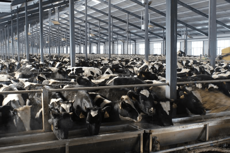 鸡西市虎林市gdp_鸡西市人民政府网站