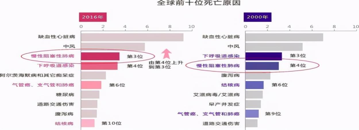 慢性阻塞性肺疾病 据世界卫生组织估计,全球目前有6亿慢阻肺患者