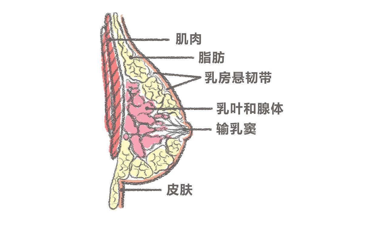 b78d429df1844d62bdcec6c2cce75ead.png