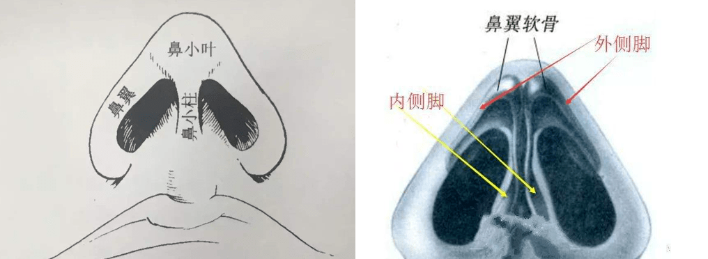 鼻头|沈梦辰和杜海涛分手了？！新do的鼻头痕迹也太明显了吧...