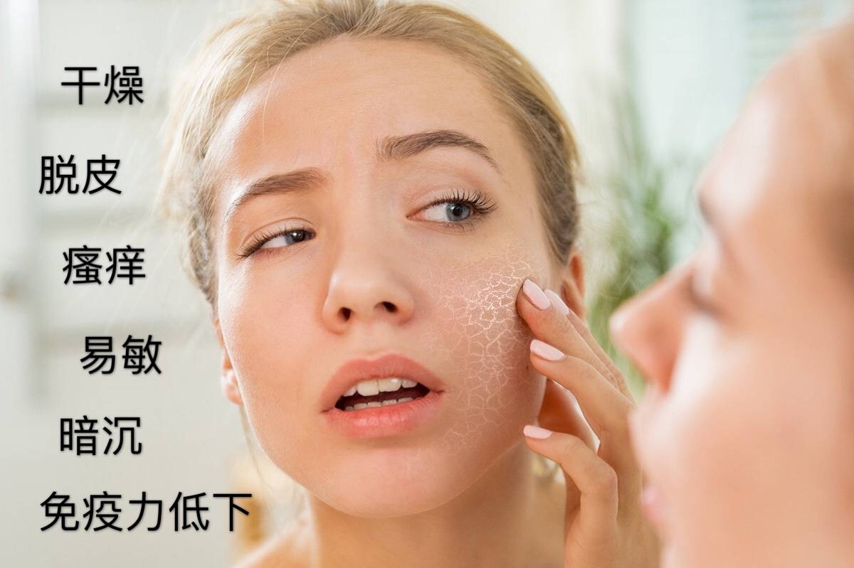 科学护肤就是 投其所好 ,来了解一下你的皮肤喜欢什么
