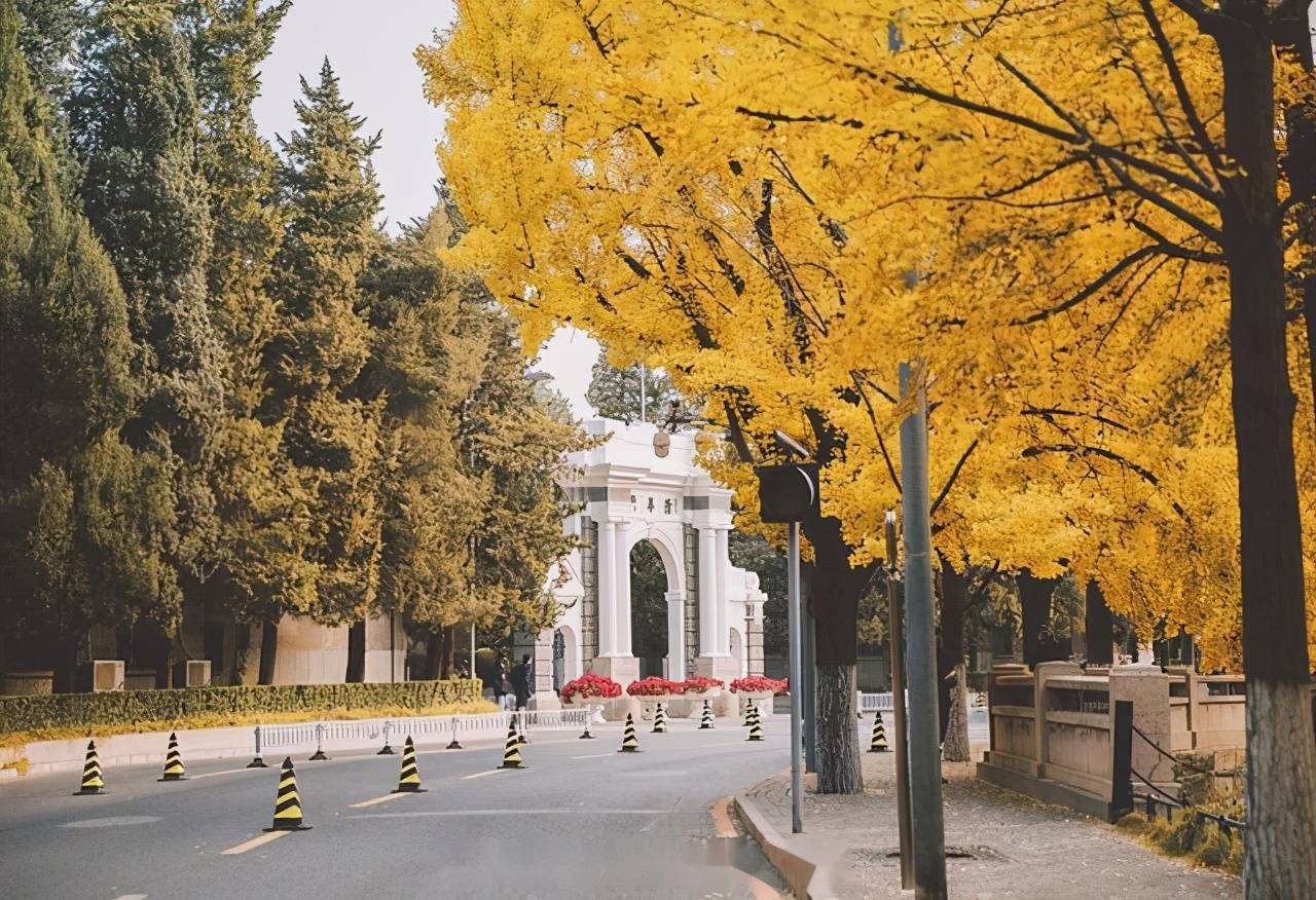 误会学弟"揩油,道歉搞"双标,清华大学美院学姐不"清华"