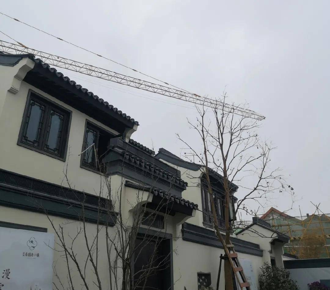 绿城梨园湾小镇规划无"自家院子",销售却涉嫌引导"独门独院"