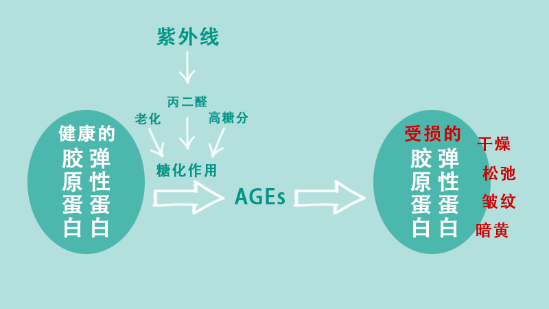 低gi的食物,指数一般低于55,不仅可以减缓糖化反应,还能让人有饱腹感