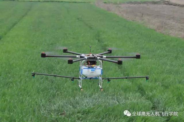 无人机驾驶员丨植保无人机飞防小麦田阔叶杂草你该清楚这些事