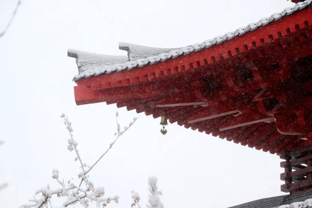 西安千古情的第一场雪,美吗?