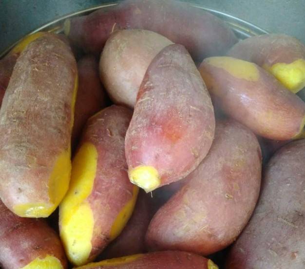 怎么晒地瓜片 0829915f71364cb79d8fd106774ab79d.jpeg