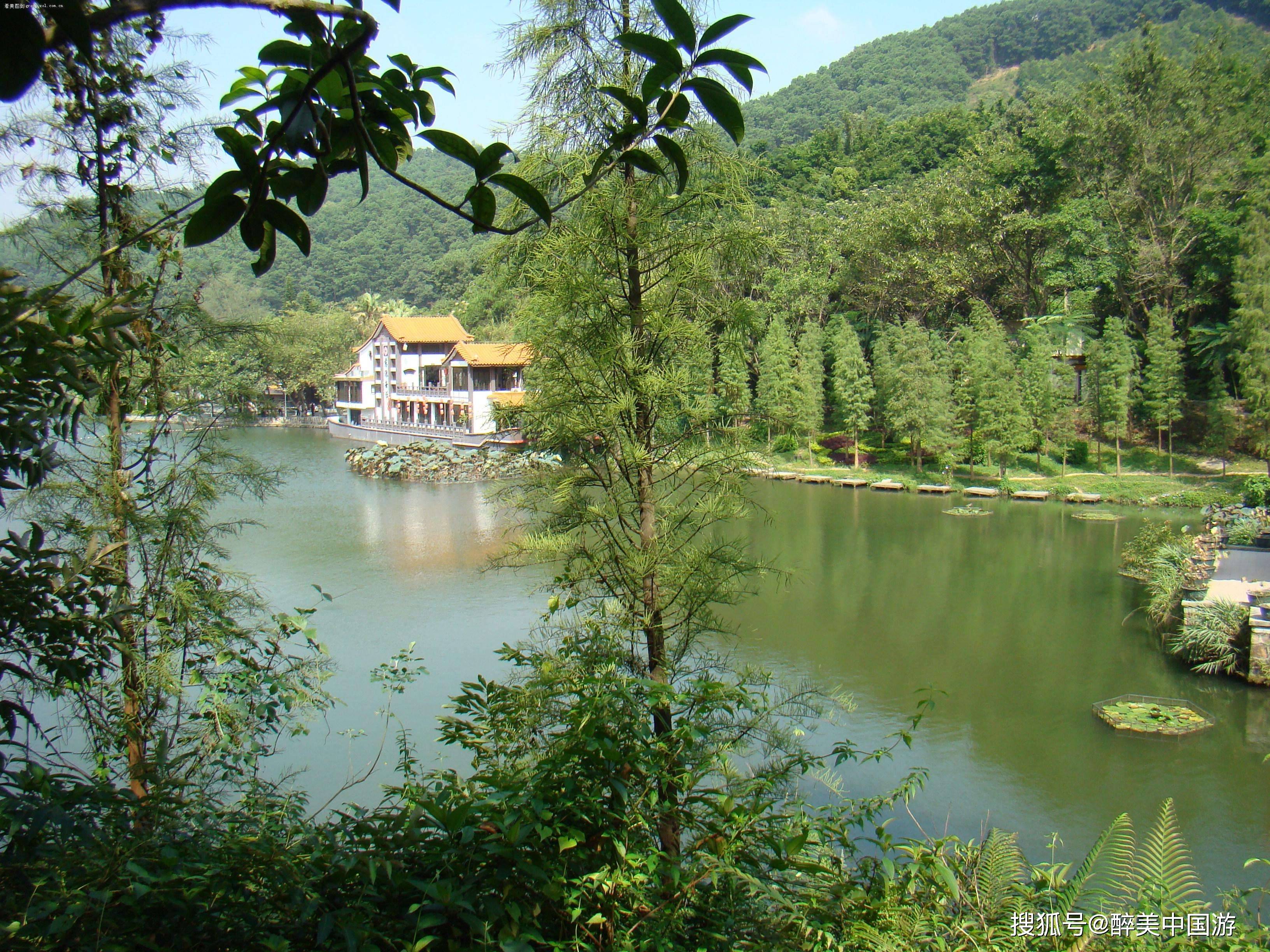 探访深圳仙湖植物园,植物花卉形态各异,湖光山色,妙趣