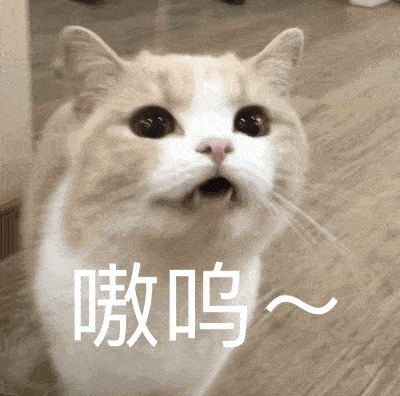40baa16384504083811ffb2c55f488fe.gif