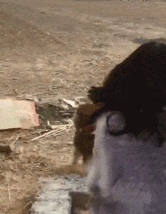 原创搞笑gif段子:感觉这俩哥们好失败