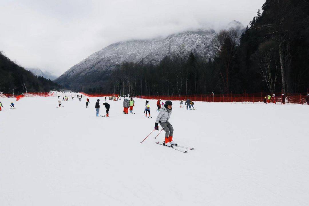 坐拥三大天然滑雪场!快去阿坝州这个县城,玩转不一样的冰雪世界!