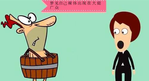 梦境迷思，梦见鸡飞入井——解密生活与心理的微妙预兆