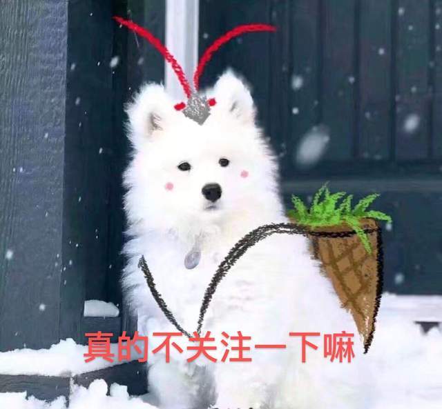 原创博主调侃赵丽颖袁冰妍有些相似，却反被骂，赵丽颖粉丝素质堪忧