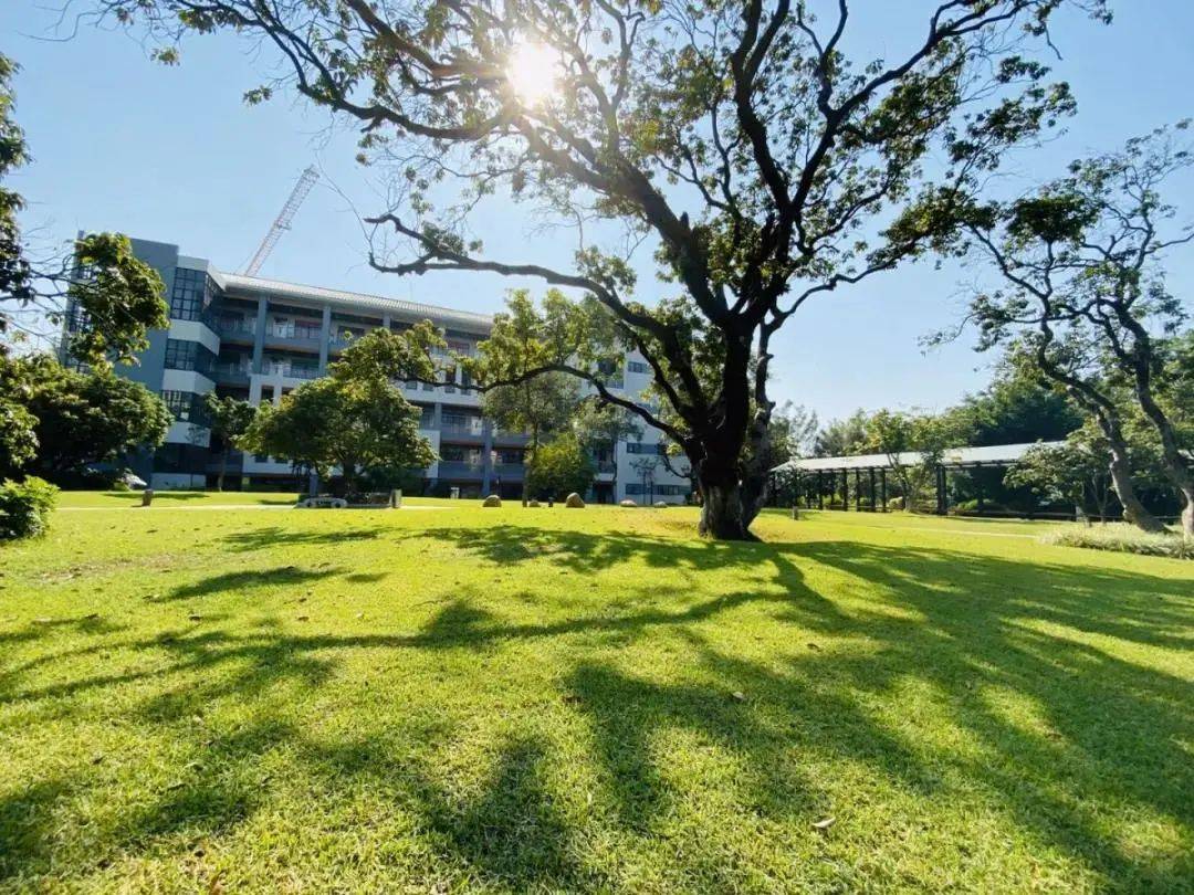 一所堪称环境一流的花园式大学 广州华夏职业学院 校园风景 学校环境