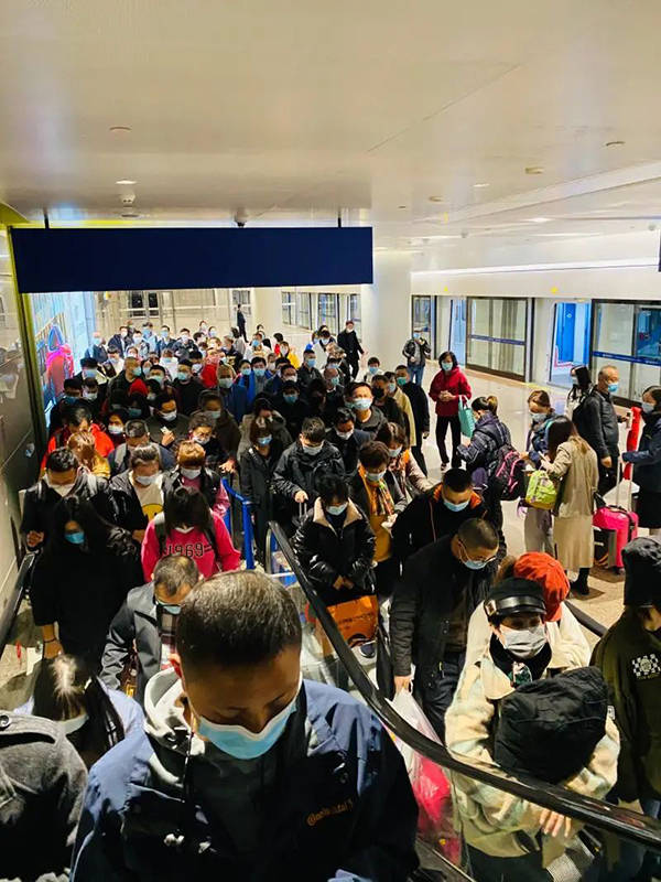 进出浦东机场健康码会变色？航班大范围取消？