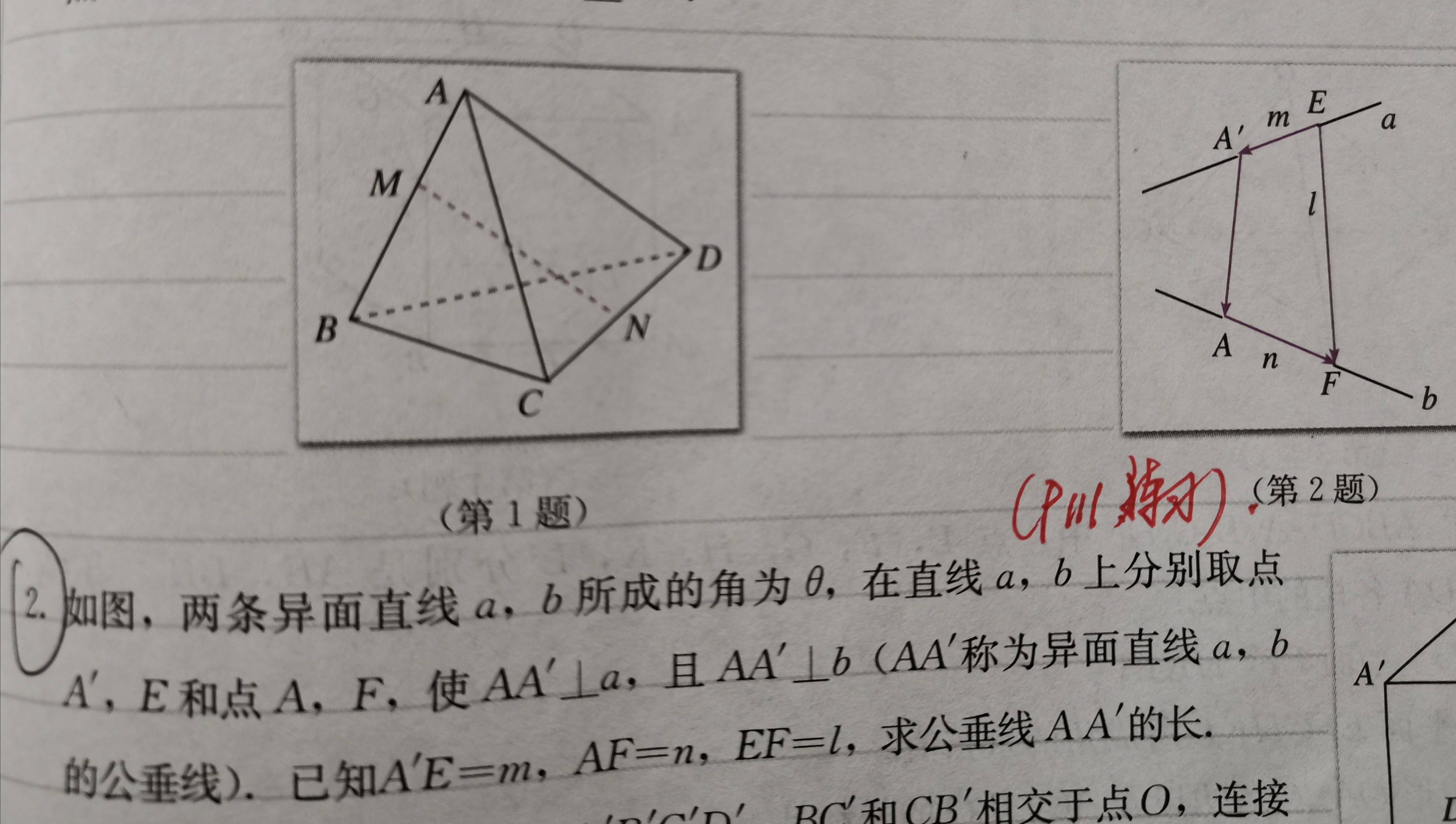 异面直线的公垂线求法是基本图.