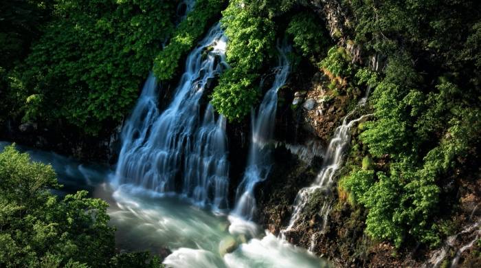 证监会监管会计师事务所，却意外揭开苏泊尔渠道困顿-家电圈官网