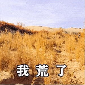 大家都是社会上的人 说话随意一点我行了 我好了 我已经没有大脑了泪
