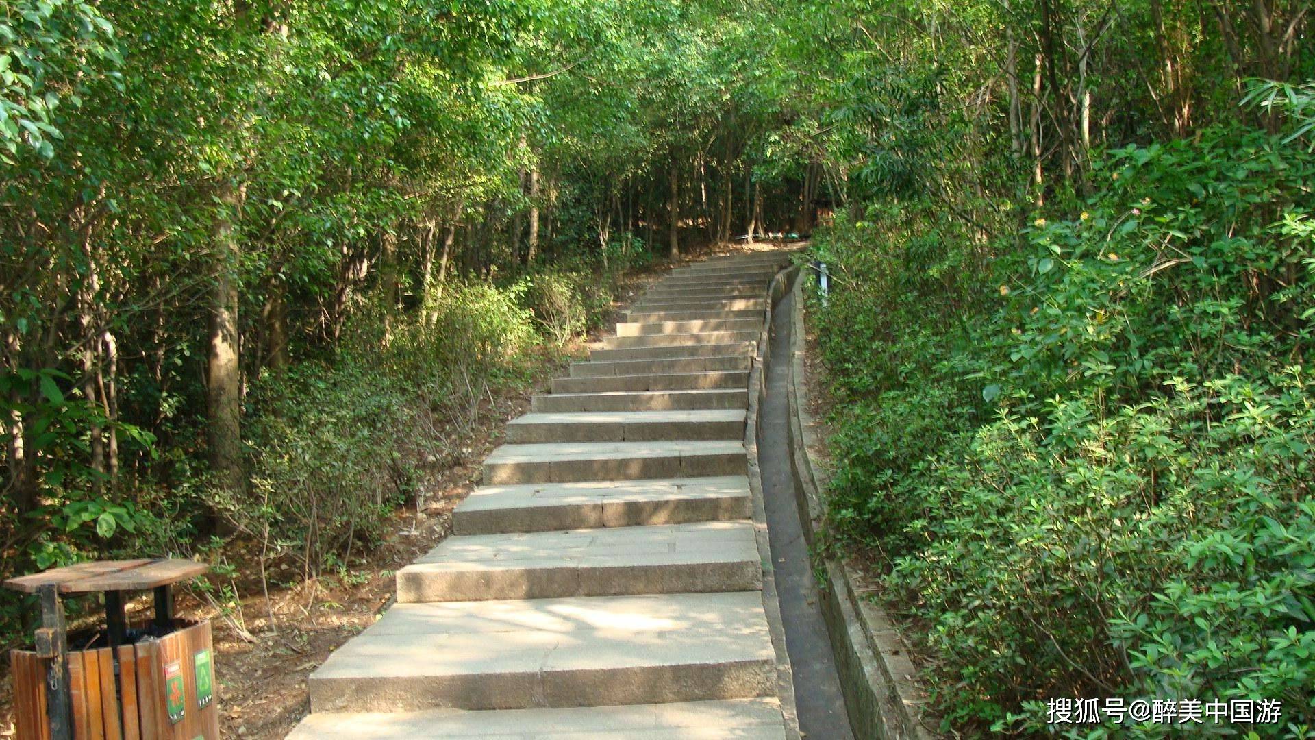 探访深圳莲花山景区,自然景观秀丽,人文背景丰富,平湖