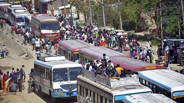 把牛粪算入GDP_鲜花插在牛粪上图片(2)