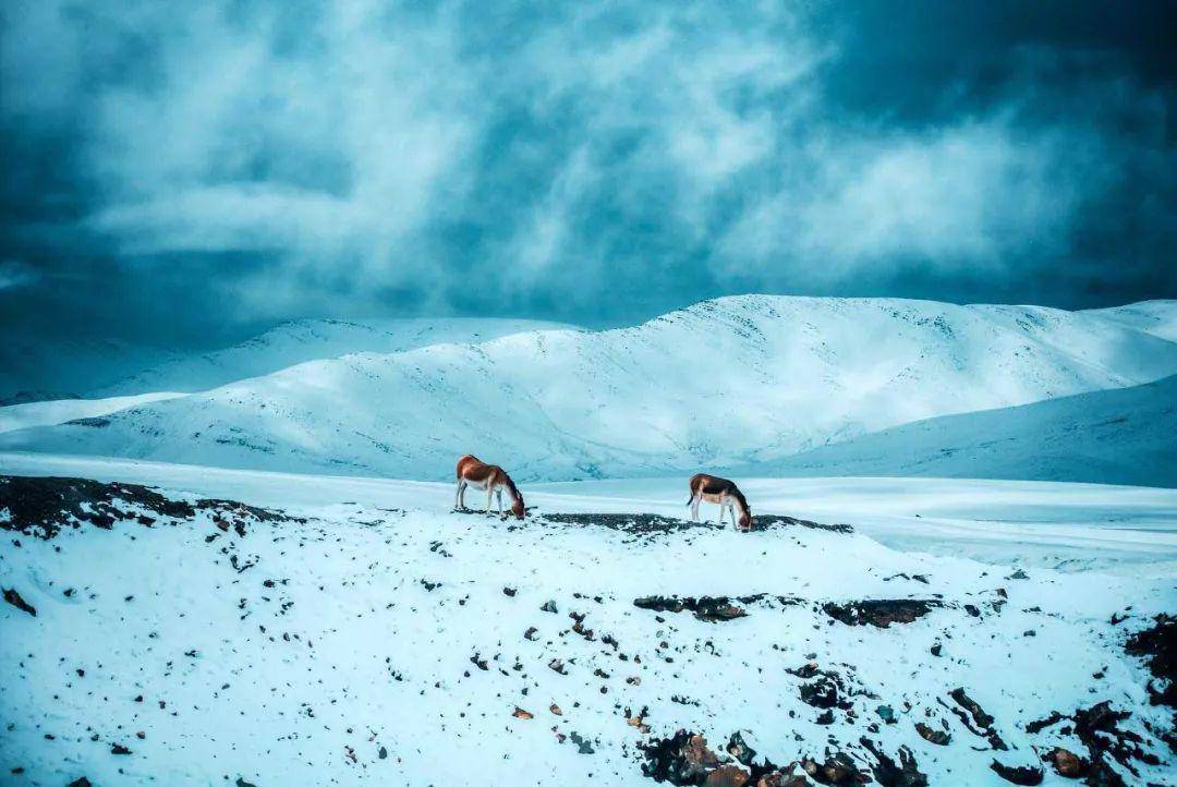 不输冰岛！西藏这个绝美秘境，才是冬天最值得你去的地方！思鹿旅行推荐