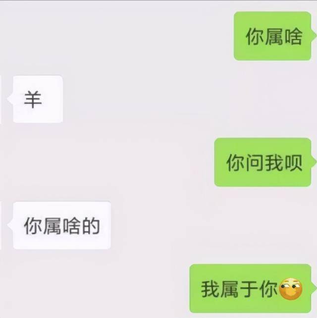 27685a85031148e5aad172f803402fba.jpeg