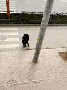 搞笑gif段子:一看就是爷爷带的_手机搜狐网