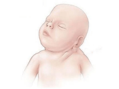宝宝早抬头，4个训练要点，宝妈们必看