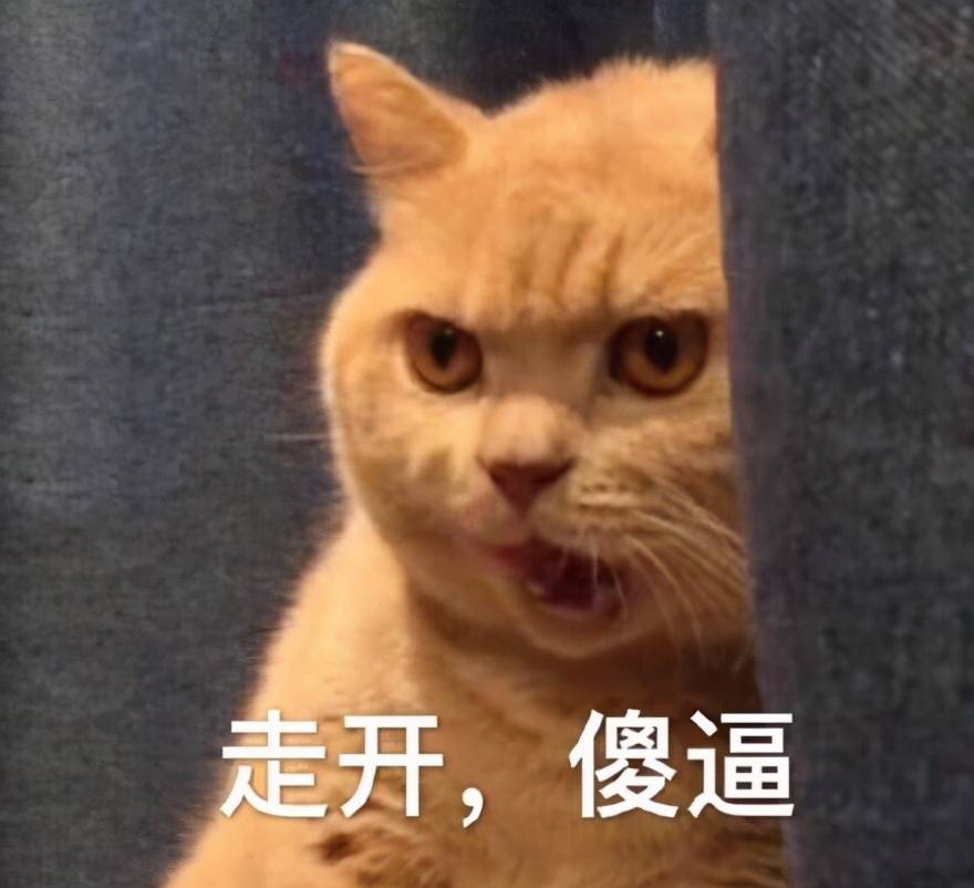 猫猫表情包我要把你摁在墙上亲亲