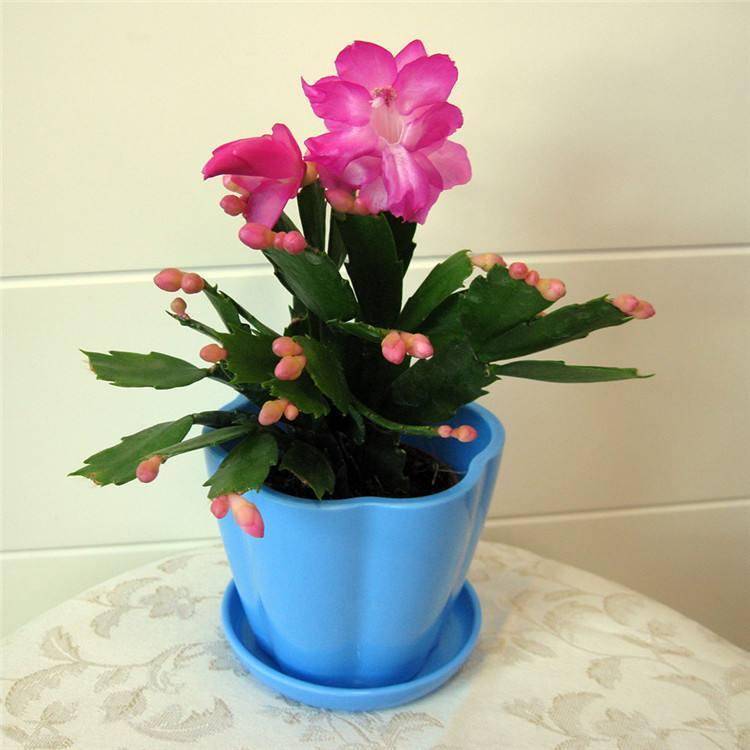 9f13dcd375b34a6e94f345bc9808ca7c.jpeg