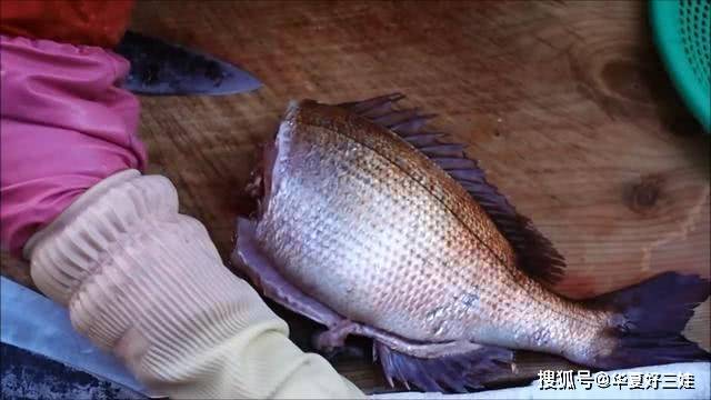 怎么晒鱼肉 f9dedfe340ba424db5f7c49bb6f2237e.jpeg