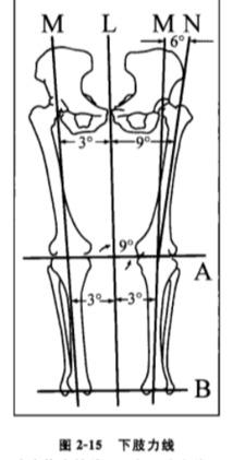 二,下肢力线异常会有什么影响?