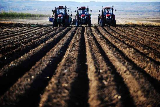 地吉林省位于东北黑土区中心地带,是目前世界上仅有的三大黑土区之一。